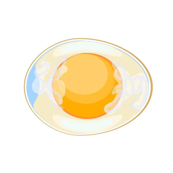 Hens egg in cross section — 스톡 벡터