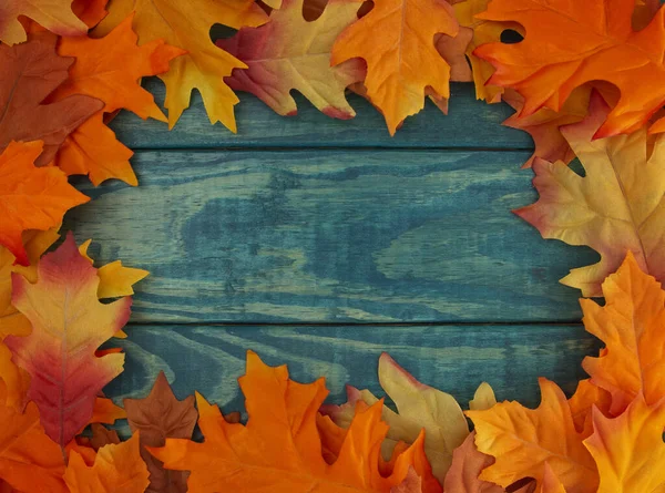 Gräns Hösten Löv Blå Trä Bakgrund — Stockfoto