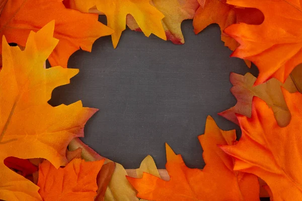 Fall Leaf Boarder Med Chalkboard Center — Stockfoto