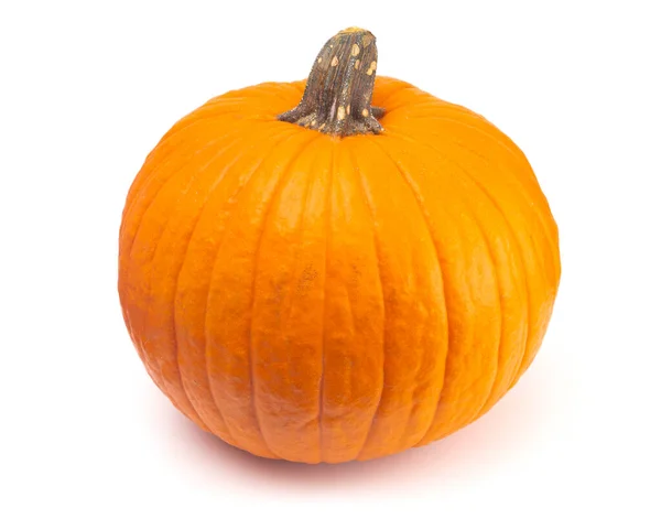 Single Large Orange Pumpkin White Background — 스톡 사진