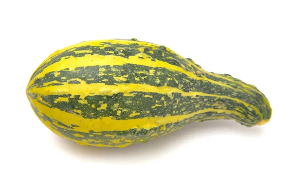 Long Green Yellow Squash Gourd White Background — 스톡 사진