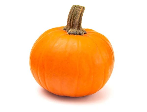 Una Calabaza Perfecta Para Hacer Pastel — Foto de Stock