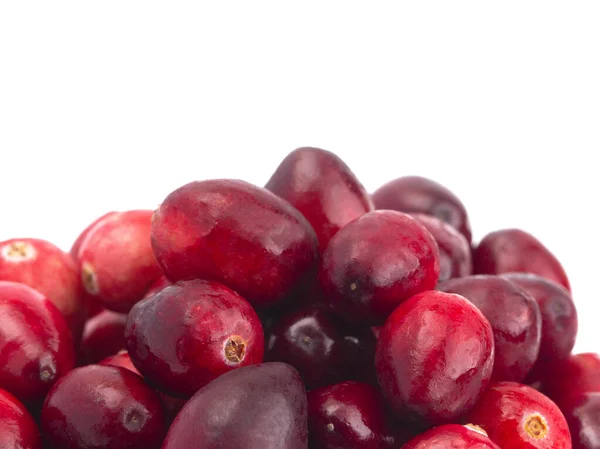 Fresh Red Cranberries White Background — Stock Photo, Image