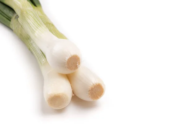 Three Spring Onions White Background — Stock Photo, Image