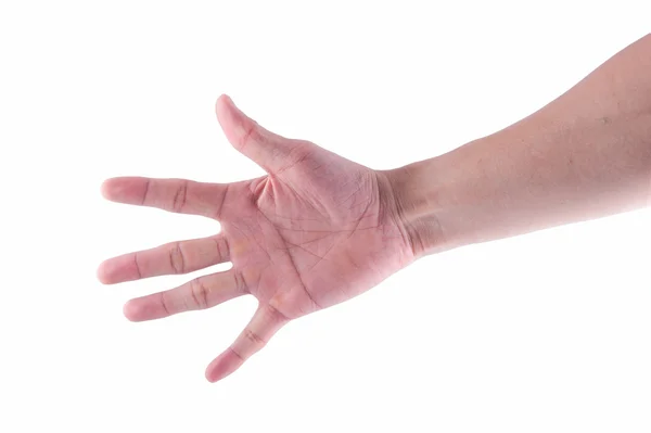 Closeup man's hand is showing five fingers isolated on white bac — Stock Photo, Image