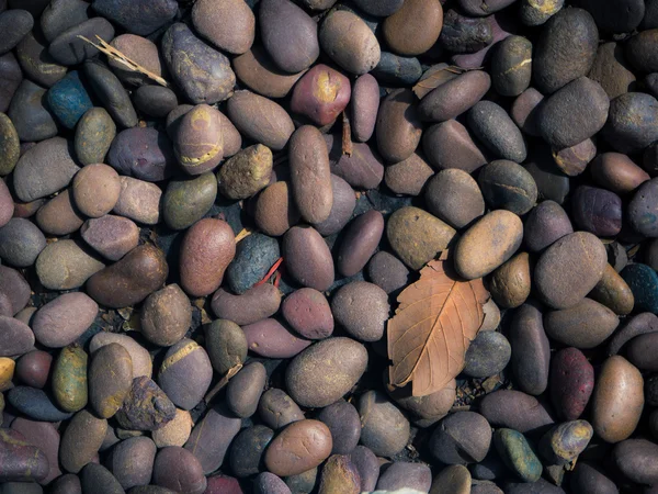 Pedra de seixo de cor no fundo — Fotografia de Stock