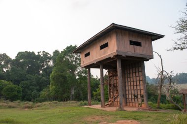 Hayvanlar doğal rezerv gözlemlemek için kulübe park, Khao Yai Milli Parkı Tayland
