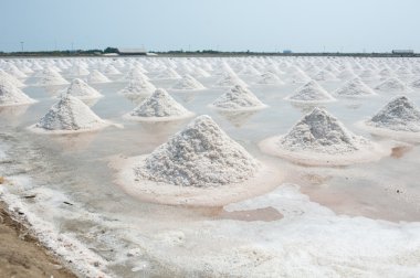 Tayland tuz tavada tuz