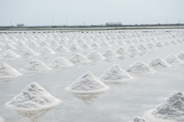 Tayland tuz tavada tuz