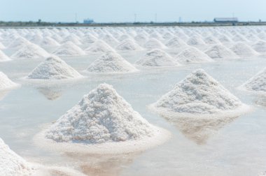 the salt in salt pan on Thailand clipart