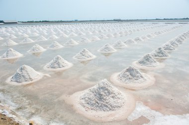 Tayland tuz tavada tuz