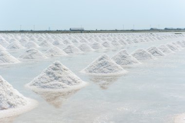 Tayland tuz tavada tuz