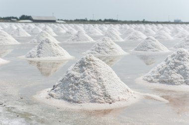 Tayland tuz tavada tuz