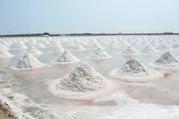 the salt in salt pan on Thailand