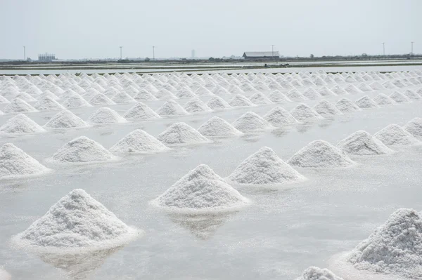 Tayland tuz tavada tuz