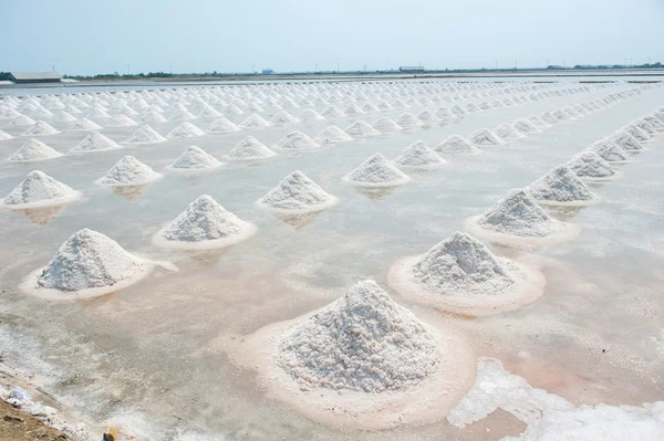 Tayland tuz tavada tuz