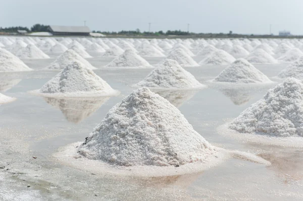 Tayland tuz tavada tuz