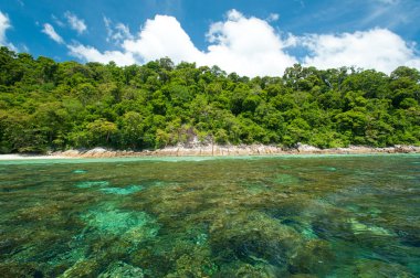 Satun, Tayland Koh Lipe ve Tarutao Milli Parkı
