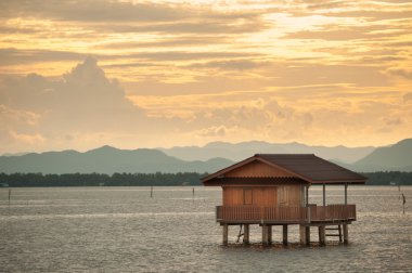 gün batımında sahil deniz arka plan