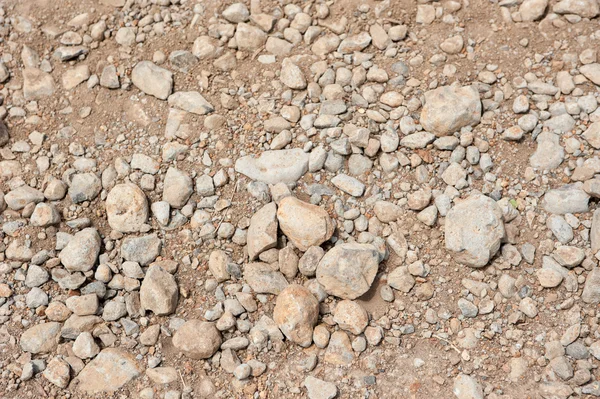 Textura de la vieja pared marrón coquina (piedra caliza) — Foto de Stock