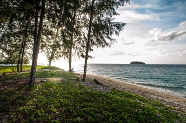 Koh Lipe Adası ve çam ağacı orman gökyüzünden güzel görünümü
