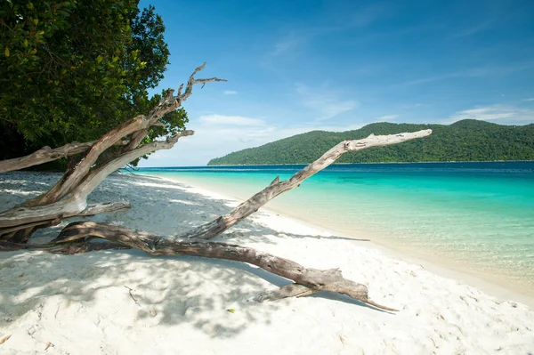 Belle île et mer turquoise, île d'Adang-Rawee — Photo