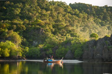 karanlık gökyüzü ve sarı yapraklar ile sonbahar sırasında kanal