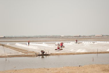 Çalışan çiftçi tuz kazık Tayland