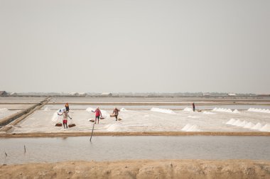 Çalışan çiftçi tuz kazık Tayland