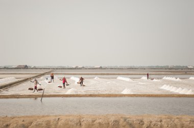 Çalışan çiftçi tuz kazık Tayland