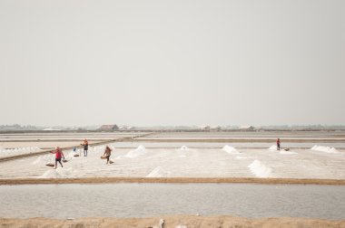 Çalışan çiftçi tuz kazık Tayland
