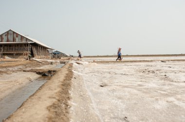 Çalışan çiftçi tuz kazık Tayland