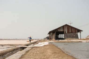 Çalışan çiftçi tuz kazık Tayland