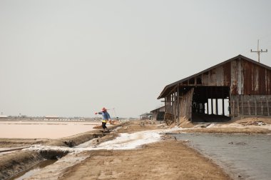 Çalışan çiftçi tuz kazık Tayland