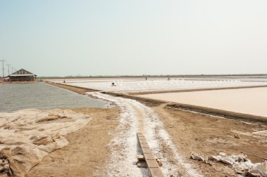 Çalışan çiftçi tuz kazık Tayland