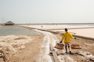 Çalışan çiftçi tuz kazık Tayland