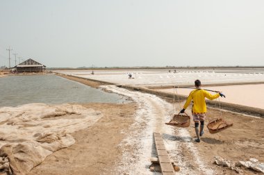 Çalışan çiftçi tuz kazık Tayland