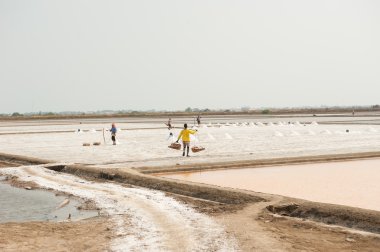 Çalışan çiftçi tuz kazık Tayland