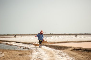 Çalışan çiftçi tuz kazık Tayland