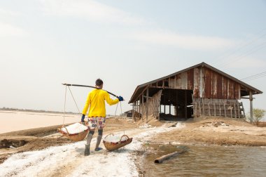 Çalışan çiftçi tuz kazık Tayland