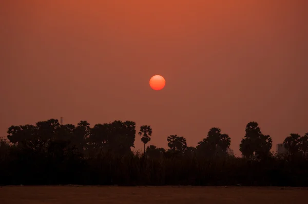 Tojás sárgája naplemente, Thaiföld — Stock Fotó