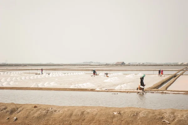 Farmer working at Salt pile in Thailand