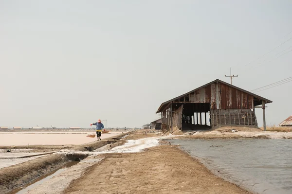 Çalışan çiftçi tuz kazık Tayland