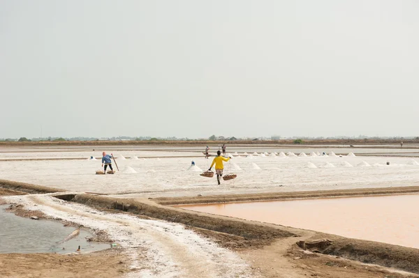 Farmer working at Salt pile in Thailand