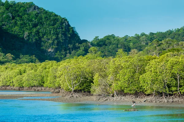 Barcos de pesca en el mar y el bosque de manglares de Tailandia — Foto de Stock