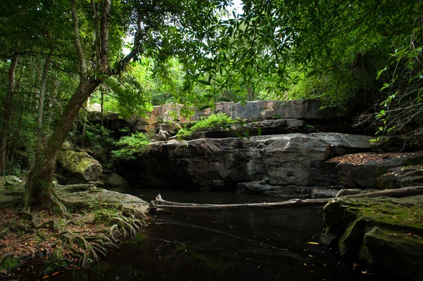 Arroyo en el bosque tropical, Tailandia — Foto de Stock