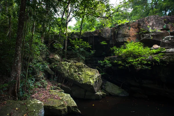 Arroyo en el bosque tropical, Tailandia — Foto de Stock