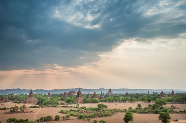 Paysage de la pagode dans la plaine de Bagan, Myanmar — Photo