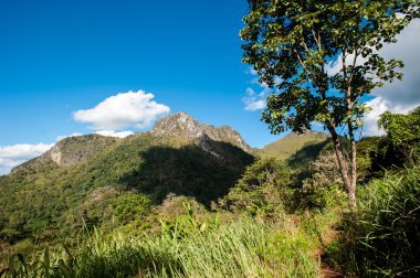 Tayland 'daki dağ manzarası