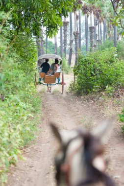Inwa, Myanmar-Mayıs 2,2013: Tanımlanamayan taşıma yolcu ve taşıma malzemeleri yerel yolun Inwa antik kent, Mandalay devlet orta Myanmar içinde bir köy onmay 2,2013 bir çalışan için.